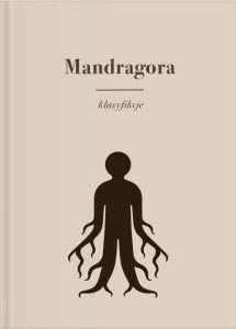 W ramach współpracy z firmą eKorekta24